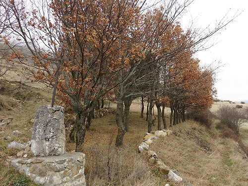 PYRENEES AUDOISES